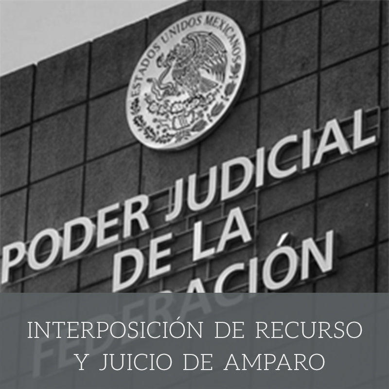 interposicion-de-recurso-y-juicio-de-amparo