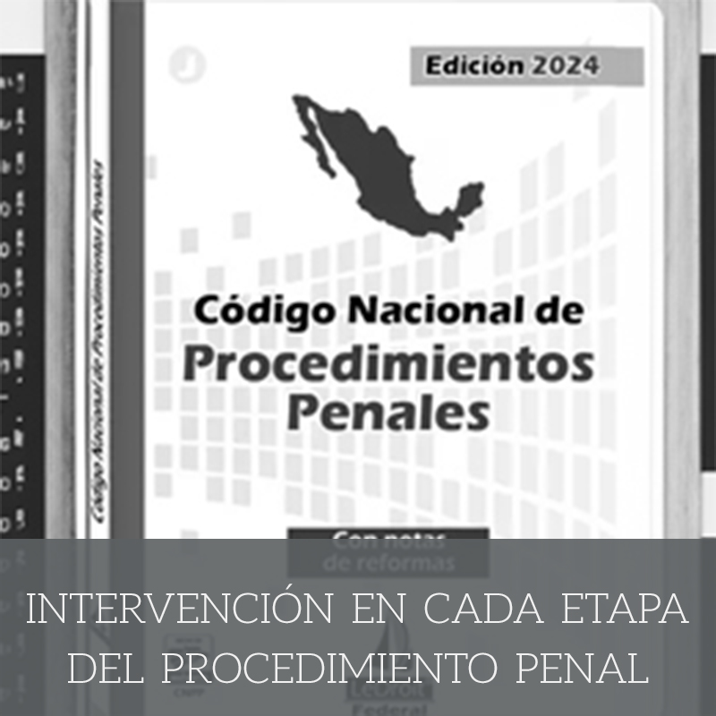 intervension-en-todas-las-etapas-del-procedimiento