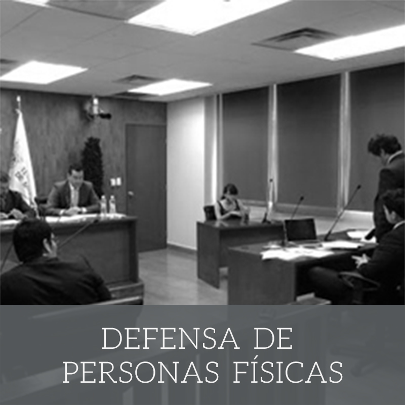 representacion-legal-de-personas-fisicas